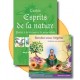 Pack ELEMENTAL : Cartes Esprits de la nature + CD Rendez-vous végétal