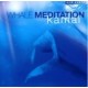 Whale Meditation 