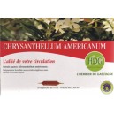Chrysantellum américanum ampoule